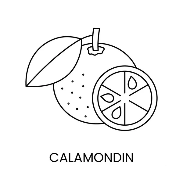 Citrus Fruit Calamondin Csomagoláson Lévő Élelmiszer Allergén Riasztások Kórokozó Átvivő — Stock Vector