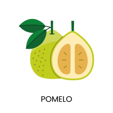 Bir pomelo 'nun vektör çizimi, sulandırıcılık ve parlak renk aktarımı. Taze ve canlı tasarımlar için ideal.