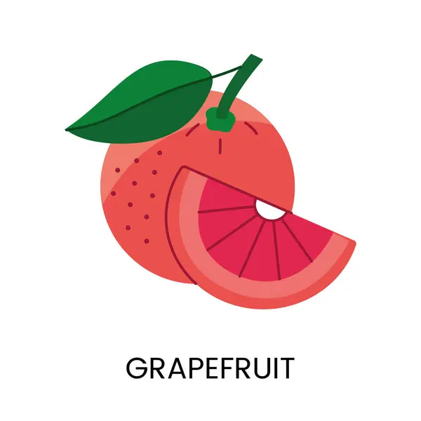 Vektor Grapefruit Illusztráció Vektor Ábrázolása Egy Vidám Grapefruit Ideális Élénk — Stock Vector