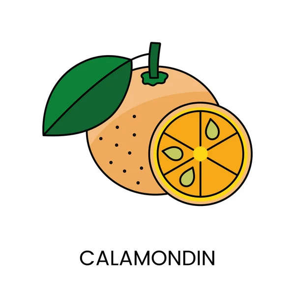 Citrus Fruit Calamondin Csomagoláson Lévő Élelmiszer Allergén Riasztások Kórokozó Átvivő — Stock Vector