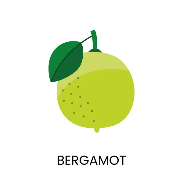 Vektor Illusztrációja Bergamot Közvetítő Lédússág Élénk Szín Ideális Friss Élénk — Stock Vector