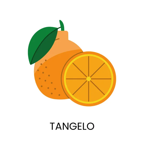 Vektor Illusztrációja Tangelo Közvetítő Lédússág Élénk Szín Ideális Friss Élénk — Stock Vector