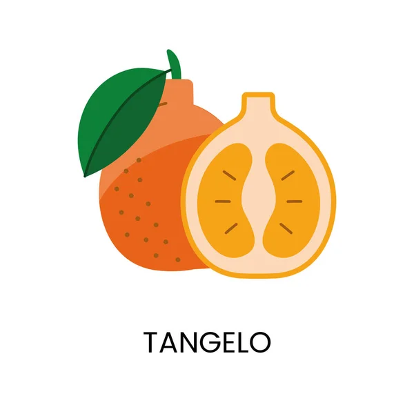 Vektor Illusztrációja Tangelo Közvetítő Lédússág Élénk Szín Ideális Friss Élénk — Stock Vector
