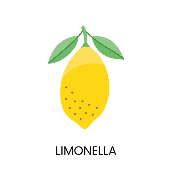 Limonella Vektorové Ilustrace Zprostředkující Šťavnatost Zářivé Barvy Ideální Pro Čerstvé — Stockový vektor