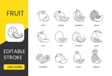 Meyve çizgi simgeleri vektör, düzenlenebilir vuruş. Ananas ve mango, çilek ve guava, hindistan cevizi ve kivi, erik ve kavun, karambola ve portakal, elma ve feijoa.
