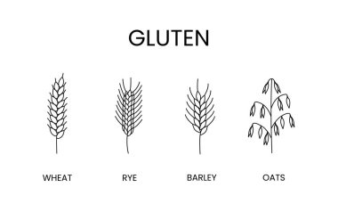 Glüten vektör çizgisi simgeleri içeren tahıllar ayarlandı. Yiyecek alerjisi yulaf, arpa, çavdar ve buğday..