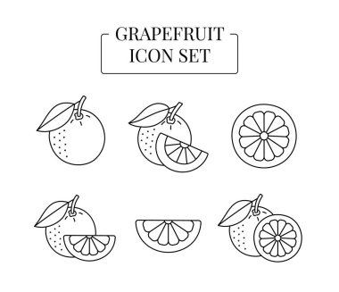 Meyve greyfurtunun tamamı ve yarısı dilimlere bölünmüş, vektör olarak çizgi simgeleri kümesi.
