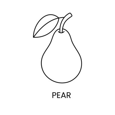 Vektör olarak armut çizgi simgesi, meyve illüstrasyonu.
