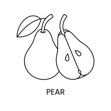 Vektör olarak armut çizgi simgesi, meyve illüstrasyonu.