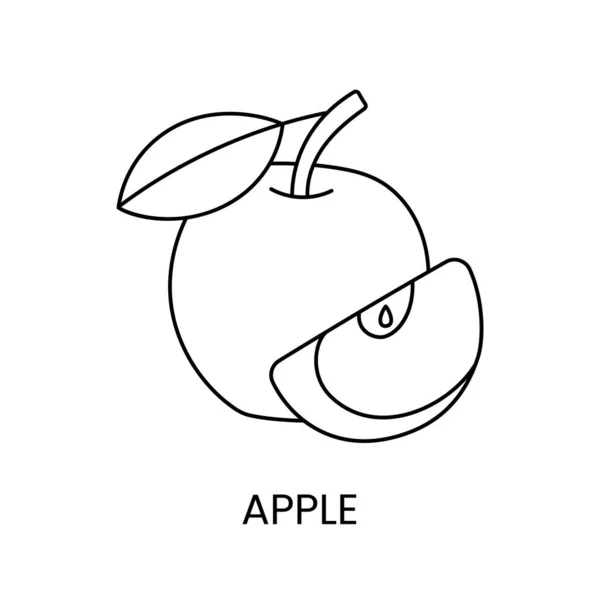 Ícone Linha Apple Vetor Ilustração Frutas —  Vetores de Stock