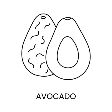 Avokado çizgisi simgesi vektör, meyve illüstrasyonu