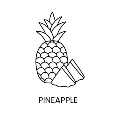 Vektör içinde ananas çizgisi simgesi, tropikal meyve illüstrasyonu.