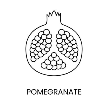 Vektör olarak nar çizgisi simgesi, meyve illüstrasyonu.