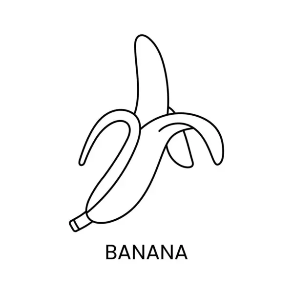 病媒中的香蕉线条图标 热带水果图解 — 图库矢量图片