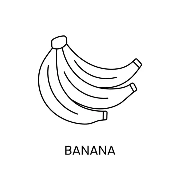 ベクターのバナナラインアイコン トロピカルフルーツイラスト — ストックベクタ