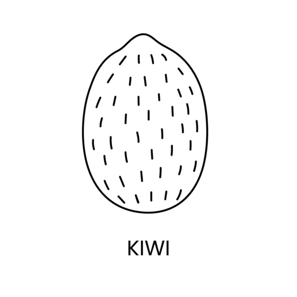 Kiwi Line Icon Vector Fruit Illustration — Stock Vector