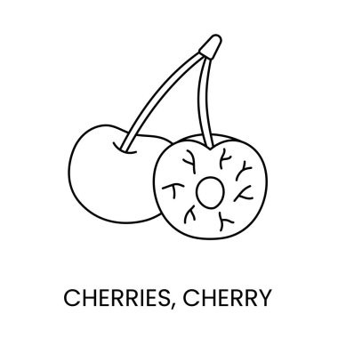 Vektör olarak kiraz çizgisi simgesi, çilek illüstrasyonu.