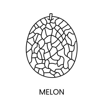 Vektör olarak kavun çizgisi simgesi, meyve illüstrasyonu.