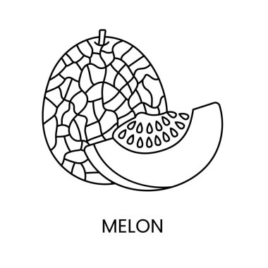 Vektör olarak kavun çizgisi simgesi, meyve illüstrasyonu.