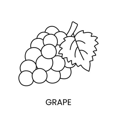Vektörde üzüm çizgisi simgesi, çilek illüstrasyonu.