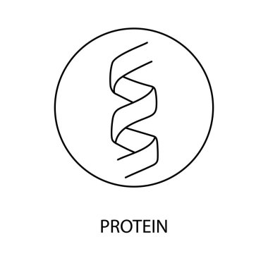 Gıda ambalajı için protein çizgi ikonu vektörü, protein molekülü çizimi