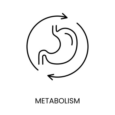 Diyabet yönetimi ve tedavisi için metabolizma çizgisi ikonu vektörü.