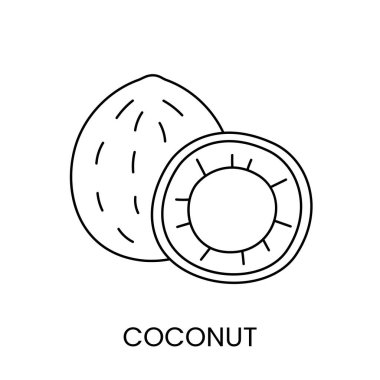 Vektör olarak hindistan cevizi çizgi simgesi, fındık illüstrasyon.