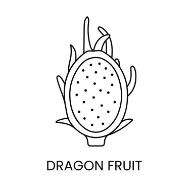 Pitahaya çizgi simgesi vektör, ejderha meyve illüstrasyonu.