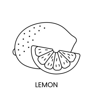 Vektör olarak limon çizgisi simgesi, turunçgil çizimi.