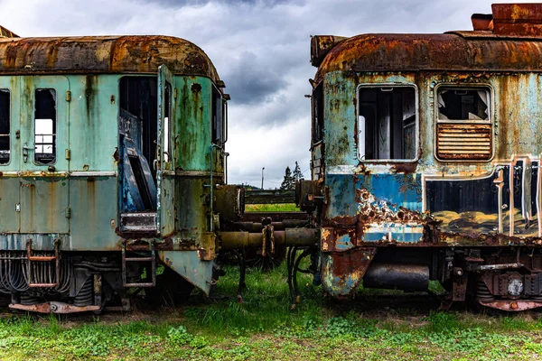 Stary Zardzewiały Elektryczny Pociąg Kolejowy Zlikwidowany Porzucony Bocznicy Kolejowej Zielonym — Zdjęcie stockowe