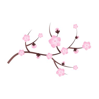 Sakura Kiraz Çiçeği Şube Vektörü İllüstrasyonu