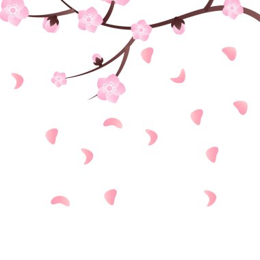 Sakura Kiraz Çiçeği Şube Vektörü İllüstrasyonu