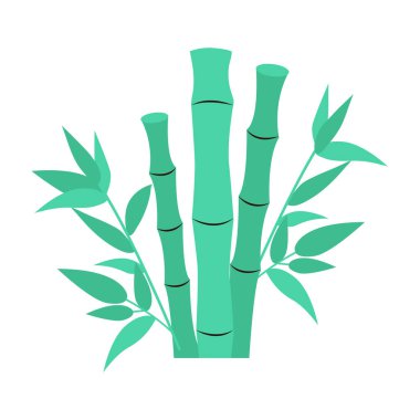Beyaz arkaplanda bambu vektör çizimi.