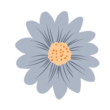 Beyaz arka planda spa kozmetik ve banyo aksesuarları.