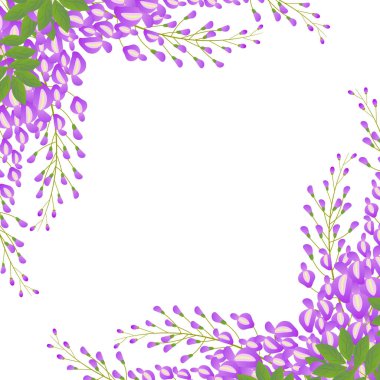 Beyaz arka planda yumuşak mor ve yeşil tonlarda salkımsal botanik çizimi.