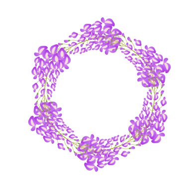 Beyaz arka planda yumuşak mor ve yeşil tonlarda salkımsal botanik çizimi.
