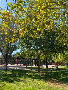 Ağaçlı güzel bir park manzarası. 