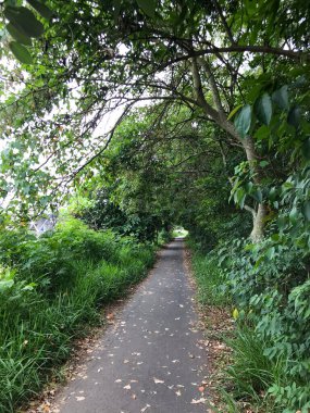 Okaliptüs ormanı, çalılıklar, Atlantik Ormanı kalıntıları, çimenler ve peyzaj alanları..