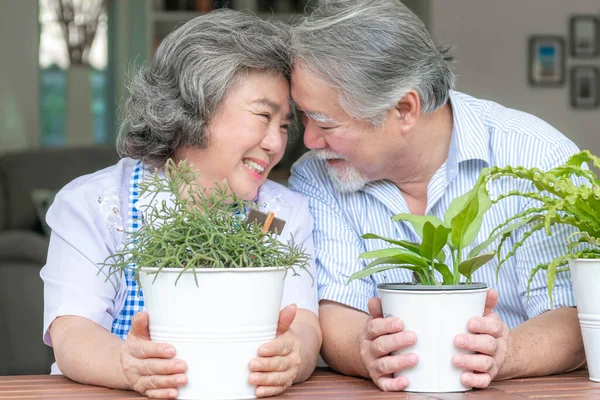 Asian Senior Couple Smile Take Care Plants Happy Couple Gardening — Stock Photo, Image