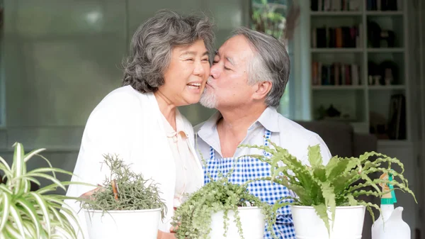 Asian Senior Couple Smile Watering Plants Take Care Trees Happy — Stock Photo, Image