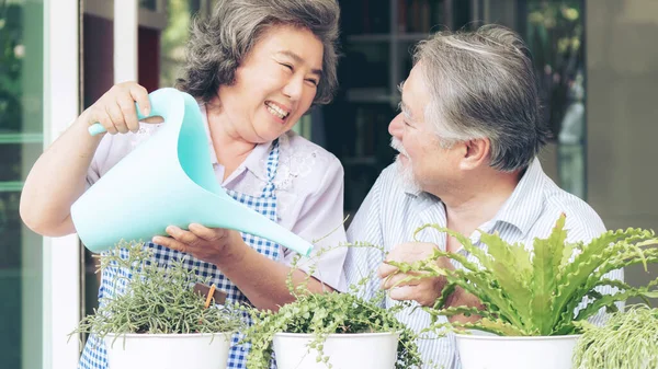 Asian Senior Couple Smile Watering Plants Take Care Trees Happy Stockbild