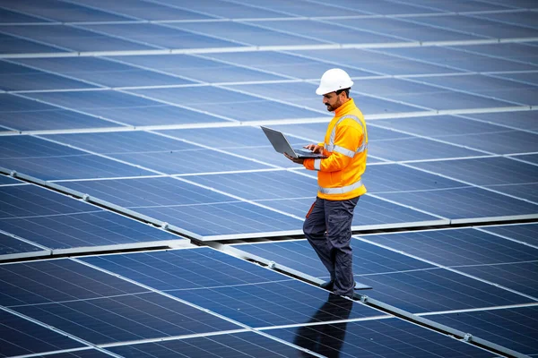 Checking Productivity Solar Panels Installed Energy Power Plant — ストック写真