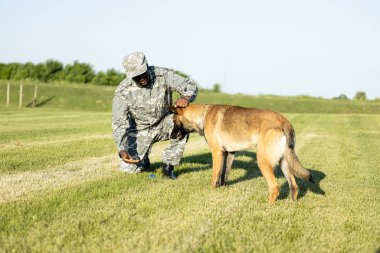 Asker köpeğine iyi halden ve eğitimden dolayı ödül veriyor..