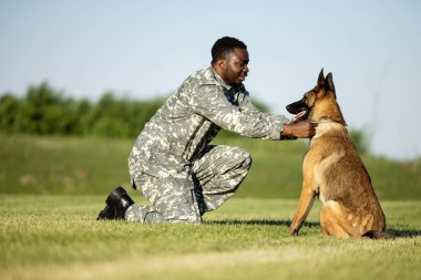 Asker ve eğitimli asker köpeği arasındaki aşk..