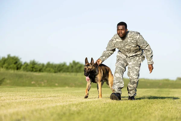 Soldier and military dog at training camp doing exercises.