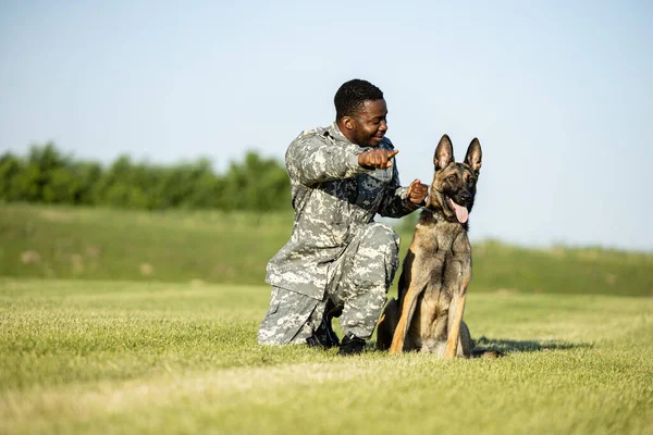 Soldier training military dog at training camp.