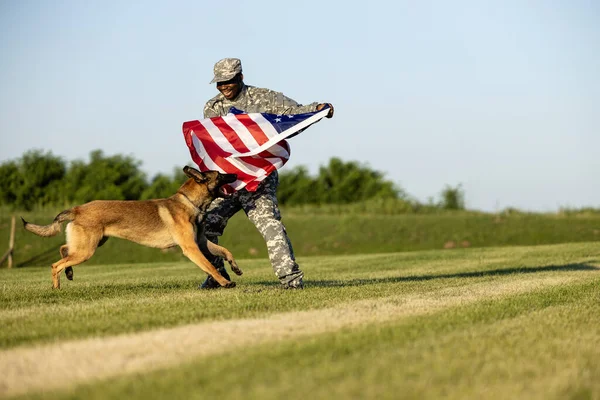 War heroes and true patriots enjoying freedom and Independence. Soldier and military working dog holding USA flag.