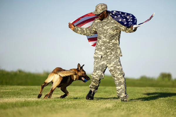 Soldier and military dog playing in the field and holding USA flag. National pride.
