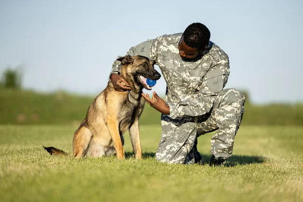 Military dog and soldier playing with ball and building their friendship.