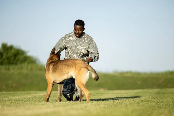 Military dog and soldier playing with ball and building their friendship.